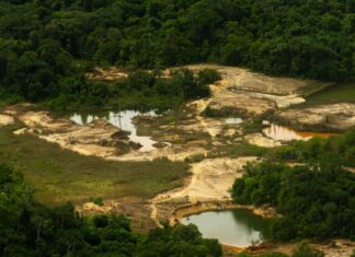 Garimpo ilegal na Terra Yanomami cai pelo terceiro ano seguido, aponta relatório do ISA