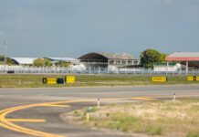 Boa Vista registra mais de 300 espécies animais em levantamento ambiental realizado em aeroportos da Amazônia