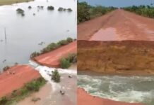 Trecho da BR-401 segue interditado após erosão em Normandia