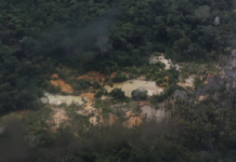 MPF denuncia grupo por financiar garimpo ilegal em terra Yanomami e movimentar R$ 64 milhões garimpo ilegal mpf