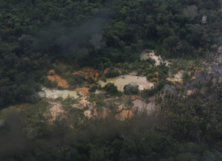 MPF denuncia grupo por financiar garimpo ilegal em terra Yanomami e movimentar R$ 64 milhões garimpo ilegal mpf