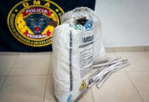 Mulher é presa com 780 kg de produtos químicos e 200 kg de explosivos destinados ao garimpo ilegal garimpo pf