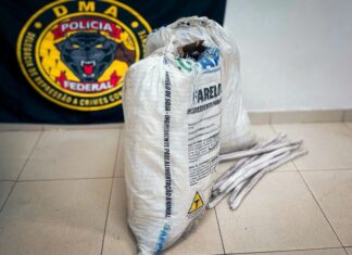 Mulher é presa com 780 kg de produtos químicos e 200 kg de explosivos destinados ao garimpo ilegal garimpo pf