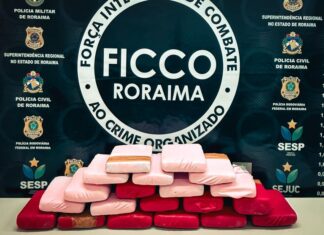 Cerca de 20 kg de drogas vindas do Amazonas são apreendidos na BR-174