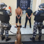 Polícia prende homem que tentou fugir de abordagem e encontra skunk escondido em máquina de lavar em Bonfim homem preso skunk bonfim
