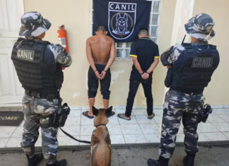 Polícia prende homem que tentou fugir de abordagem e encontra skunk escondido em máquina de lavar em Bonfim homem preso skunk bonfim
