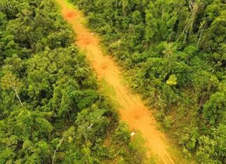 Operação contra garimpo ilegal apreende 300 kg de cassiteria e destrói 6 pistas de pouso clandestinas