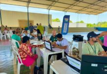 Governo de Roraima atualiza Código Ambiental e simplifica licenciamento para atividades agropecuárias atendimento femarh