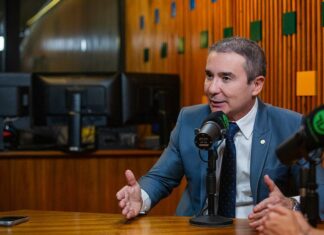 Projeto de Duda Ramos propõe política nacional para ampliar arborização nas cidades
