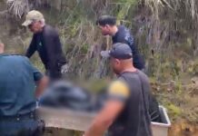 Corpo de idoso é encontrado em cova rasa na zona rural de Alto Alegre corpo idoso