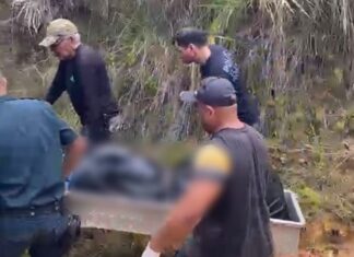 Corpo de idoso é encontrado em cova rasa na zona rural de Alto Alegre corpo idoso