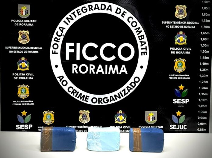 prisão domiciliar