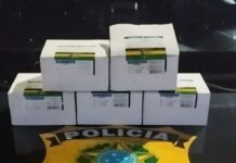 Carga de 500 ampolas de morfina é apreendida durante fiscalização na BR-174 morfina ampola prf