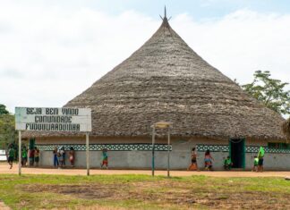 Lideranças Yanomami e Ye’kwana pedem pacto entre Brasil e Venezuela para frear garimpo e avanço da malária na fronteira
