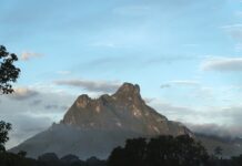 Yanomami recebem autorização para retomada do ecoturismo no Pico da Neblina