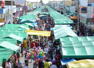 Câmara Municipal de Boa Vista aprova nova lei das feiras livres proposta por Carol Dantas