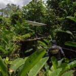 Operação na Terra Yanomami reduz abertura de novos garimpos em 99%, aponta governo garimpos yanomami