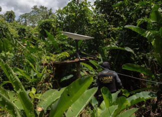 Operação na Terra Yanomami reduz abertura de novos garimpos em 99%, aponta governo garimpos yanomami