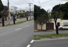 Prefeitura atribui poda drástica de árvores à Âmbar Energia, mas empresa nega ter feito serviço