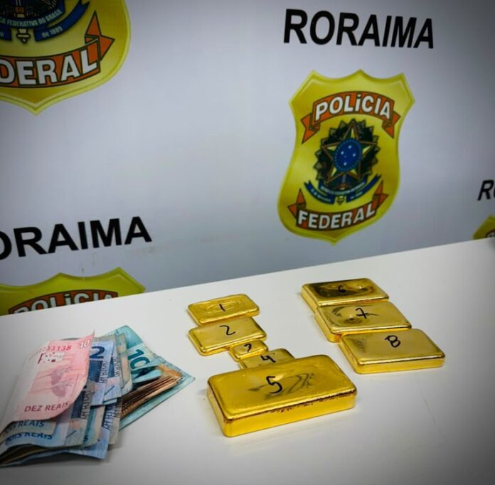 garimpo ilegal pf garimpo ilegal pf