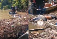 Corpo é encontrado após naufrágio em rio de Amajari e segunda vítima continua desaparecida naufrágio
