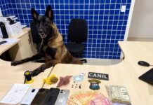Cadela farejadora ajuda PM a localizar drogas e dupla é presa por tráfico em Pacaraima Cadela farejadora ajuda PM a localizar drogas e dupla é presa por tráfico em Pacaraima