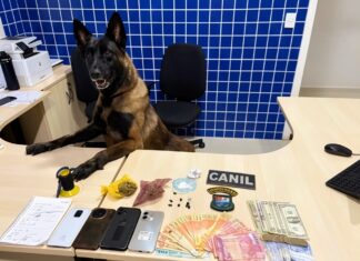 Cadela farejadora ajuda PM a localizar drogas e dupla é presa por tráfico em Pacaraima Cadela farejadora ajuda PM a localizar drogas e dupla é presa por tráfico em Pacaraima