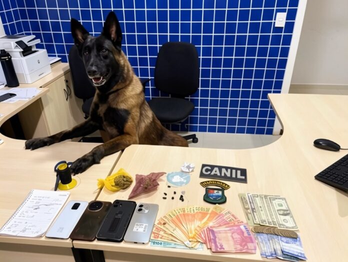 Cadela farejadora ajuda PM a localizar drogas e dupla é presa por tráfico em Pacaraima