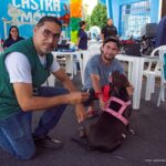 Campanha de vacinação antirrábica de cães e gatos começa neste sábado (1º) em Boa Vista Campanha de Vacinação Antirrábica em Boa Vista - SEMUC
