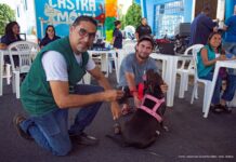 Campanha de vacinação antirrábica de cães e gatos começa neste sábado (1º) em Boa Vista Campanha de Vacinação Antirrábica em Boa Vista - SEMUC