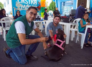 Campanha de vacinação antirrábica de cães e gatos começa neste sábado (1º) em Boa Vista Campanha de Vacinação Antirrábica em Boa Vista - SEMUC