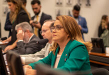 Helena da Asatur vota a favor da criação do Sistema Nacional de Enfrentamento da Violência contra Mulheres Deputada federal Helena da Asatur durante votação na Câmara dos Deputados.