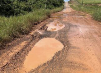 Deputada Joilma Teodora cobra recuperação urgente da RR-325, entre Mucajaí e Alto Alegre