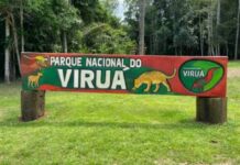 União formaliza destinação de área de R$ 522 milhões para o Parque Nacional do Viruá, em Roraima