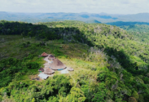 Três crianças morrem após ataque a tiros em comunidade yanomami de Alto Alegre