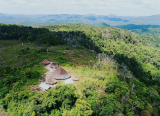 Três crianças morrem após ataque a tiros em comunidade yanomami de Alto Alegre