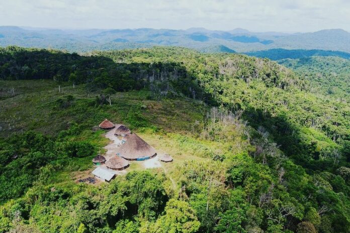 Região do Surucucu na Terra Indígena Yanomami em Roraima — Foto Waihiri Yanomami
