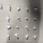 Adolescente é apreendido com 17 porções de cocaína e diz vender drogas para sustentar a família drogas adolescente cocaína