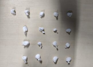 Adolescente é apreendido com 17 porções de cocaína e diz vender drogas para sustentar a família drogas adolescente cocaína