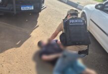 Condenado por matar homem após discussão envolvendo cães é preso em Boa Vista cães homicídio homem preso
