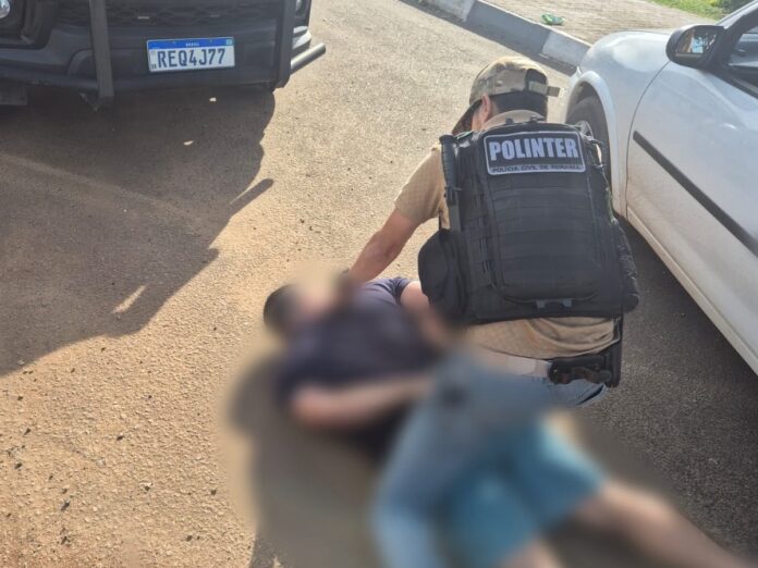 cães homicídio homem preso cães homicídio homem preso