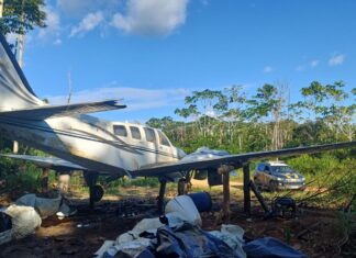 Forças de segurança destroem avião usado para abastecer garimpo ilegal em Caroebe Forças de segurança destroem avião usado para abastecer garimpo ilegal em Caroebe