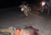Motociclista morre após bater em capivara na RR-345, em Iracema Motociclista morre após bater em capivara na RR-345, em Iracema