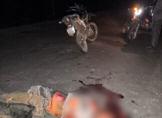 Motociclista morre após bater em capivara na RR-345, em Iracema Motociclista morre após bater em capivara na RR-345, em Iracema