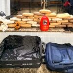 PM encontra 31 tabletes de skunk em quarto de hotel e prende dois por tráfico de drogas em Boa Vista PM encontra 31 tabletes de skunk em quarto de hotel e prende dois por tráfico de drogas em Boa Vista