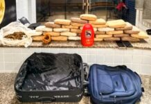 PM encontra 31 tabletes de skunk em quarto de hotel e prende dois por tráfico de drogas em Boa Vista PM encontra 31 tabletes de skunk em quarto de hotel e prende dois por tráfico de drogas em Boa Vista