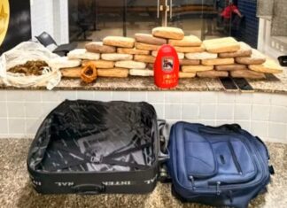 PM encontra 31 tabletes de skunk em quarto de hotel e prende dois por tráfico de drogas em Boa Vista PM encontra 31 tabletes de skunk em quarto de hotel e prende dois por tráfico de drogas em Boa Vista