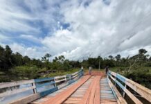 Joilma Teodora solicita recuperação de ponte na Vicinal 42, em Rorainópolis Joilma rorainópolis ponto