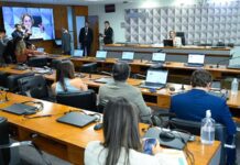 Relatório do Senado aponta que crise Yanomami persiste e cobra atuação permanente da União
