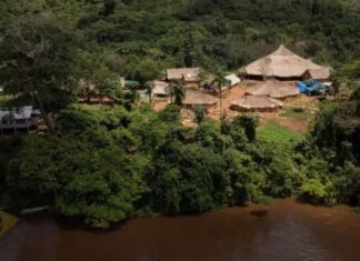 Ataque na Terra Yanomami deixa agente indígena de saúde e menina de 10 anos mortos em Roraima